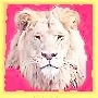 Avatar utente