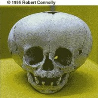 non classificato2.jpg