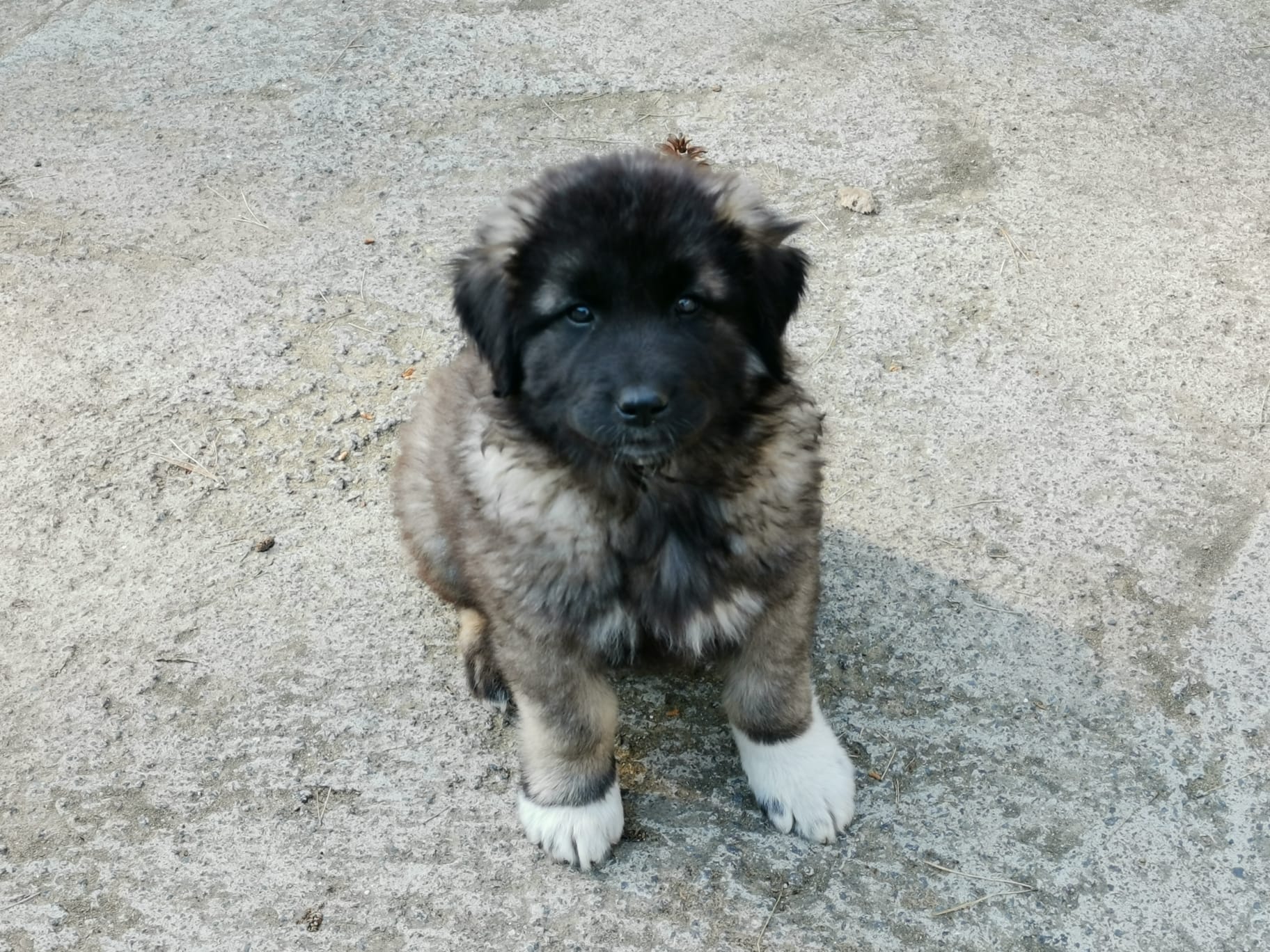 WhatsApp Image 2022-05-23 at 14.33.31.jpeg